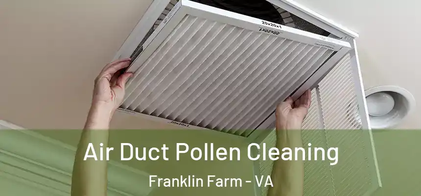  Air Duct Pollen Cleaning Franklin Farm - VA