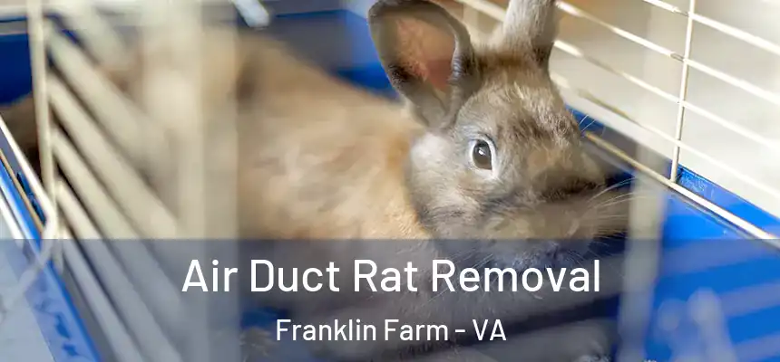  Air Duct Rat Removal Franklin Farm - VA