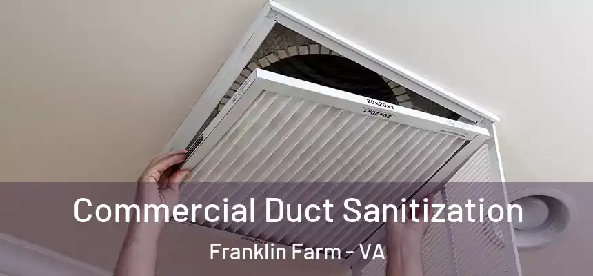  Commercial Duct Sanitization Franklin Farm - VA