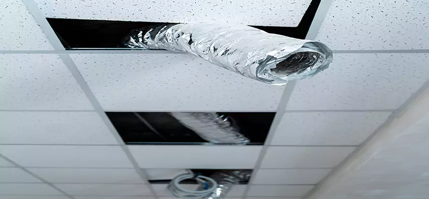 Our Air Duct Pet Hair Removal Services in Franklin Farm, VA