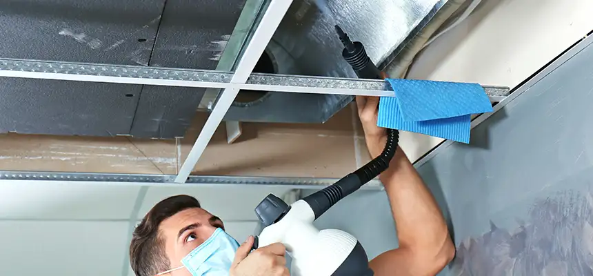 Our Air Duct Rodent Removal Services in Franklin Farm, VA