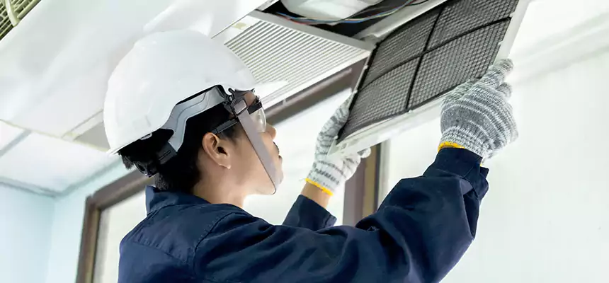 Our Mold & Mildew Removal from Air Ducts Services in Franklin Farm, VA