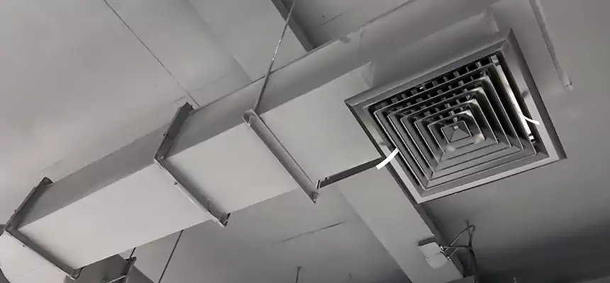 Our Pest Removal From Ducts Services in Franklin Farm, VA