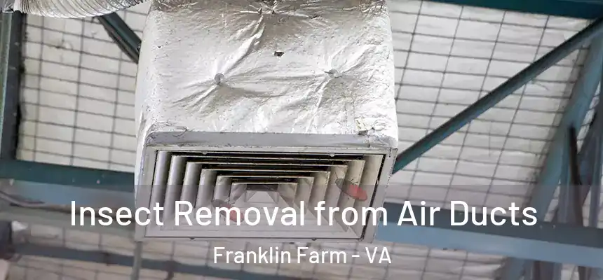 Insect Removal from Air Ducts Franklin Farm - VA