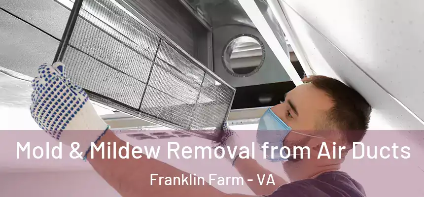  Mold & Mildew Removal from Air Ducts Franklin Farm - VA