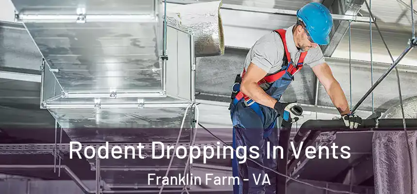  Rodent Droppings In Vents Franklin Farm - VA
