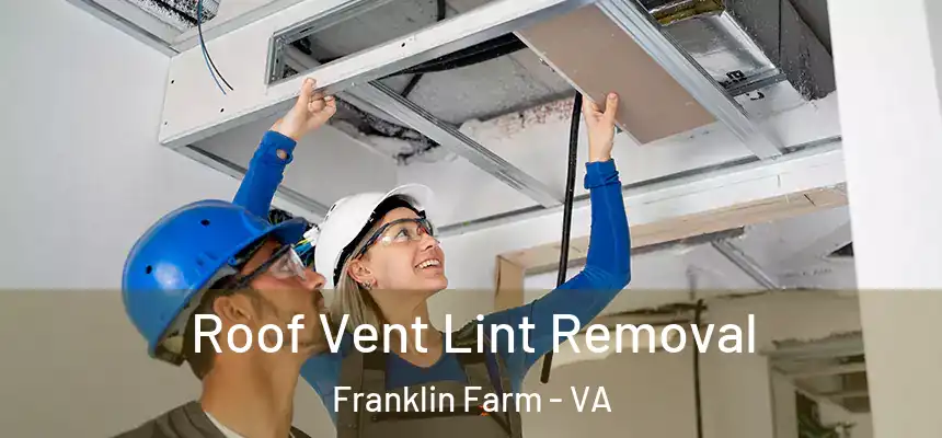  Roof Vent Lint Removal Franklin Farm - VA