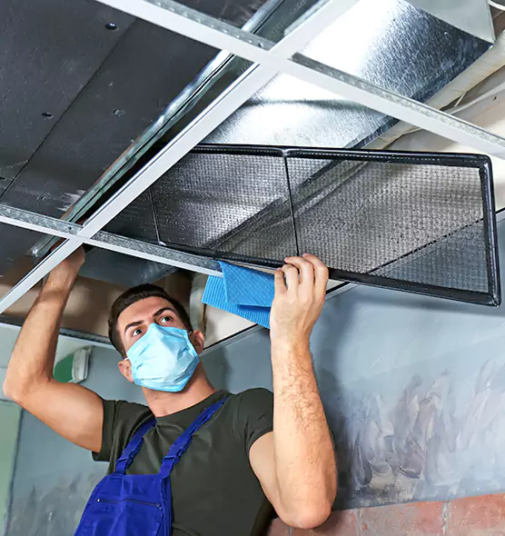 About Air Duct Bacteria Removal in Franklin Farm
