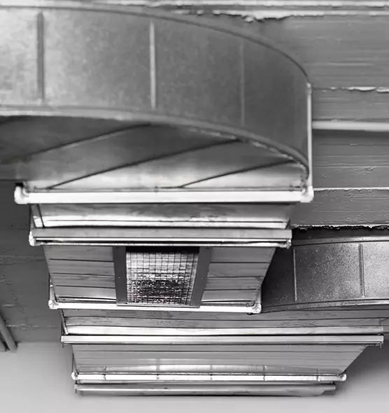 Professional Air Duct Pet Hair Removal in Franklin Farm, VA