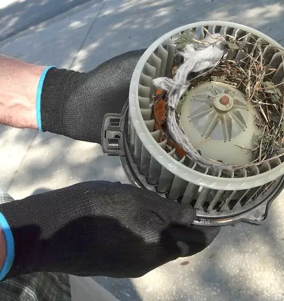 About Air Duct Rat Removal in Franklin Farm, VA