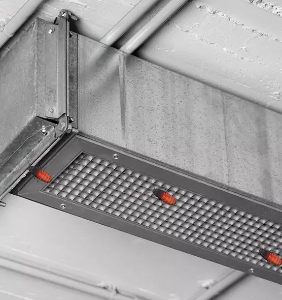 Affordable Insect Removal from Air Ducts in Franklin Farm, VA