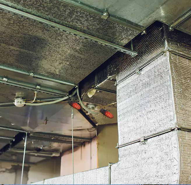 Why Homeowners & Businesses Trust Us Franklin Farm, VA?